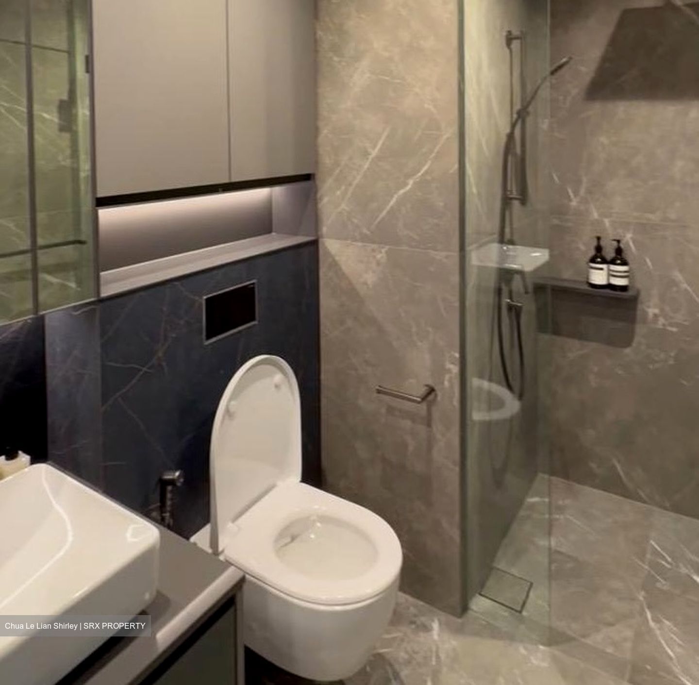 Irwell Hill Residences (D9), Apartment #521041421